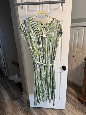 Banana Republic Factory Green and White Abstract Striped Pleated Midi Dress.